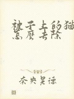 被子上的猫尿味怎么去除