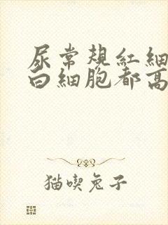 尿常规红细胞和白细胞都高