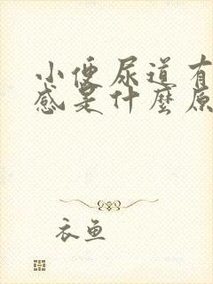 小便尿道有灼热感是什么原因