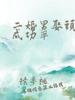 二婚男娶头婚女成功率