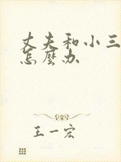 丈夫和小三住了怎么办