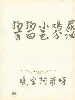 狗狗小鸡尿道口有白色分泌物