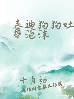 泰迪狗狗吐黄水带泡沫