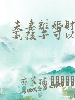 夫妻离婚财产分割孩子可以分吗