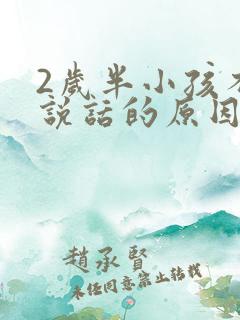 2岁半小孩不会说话的原因