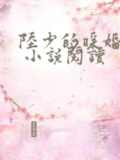 陆少的暖婚新妻 小说阅读