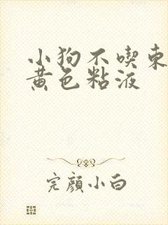 小狗不吃东西吐黄色粘液