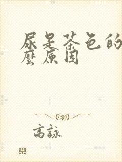 尿是茶色的是什么原因