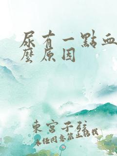 尿有一点血是什么原因