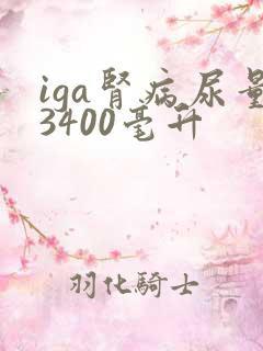 iga肾病尿量3400毫升