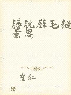 膀胱壁毛糙是啥意思