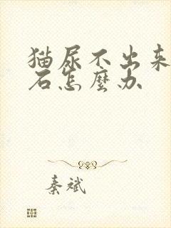 猫尿不出来有结石怎么办