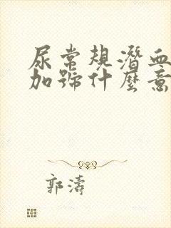 尿常规潜血2个加号什么意思