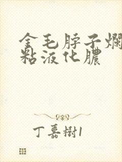 金毛脖子烂了流粘液化脓