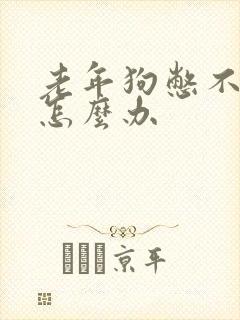 老年狗憋不住尿怎么办