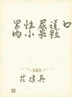 男性尿道口内有肉小米粒