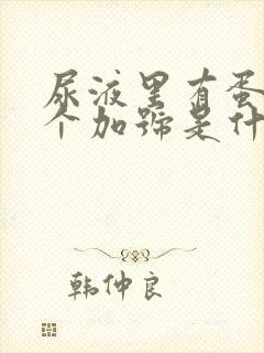 尿液里有蛋白2个加号是什么原因引起的