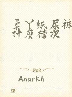 柔丫纸尿裤属于什么档次