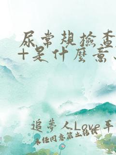 尿常规检查潜血+是什么意思