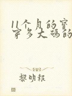 11个月的宝宝穿多大码的纸尿裤