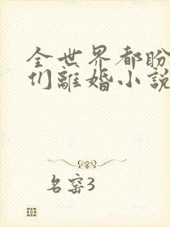 全世界都盼着我们离婚小说最新章节