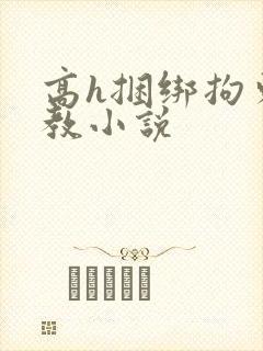 高h捆绑拘束调教小说