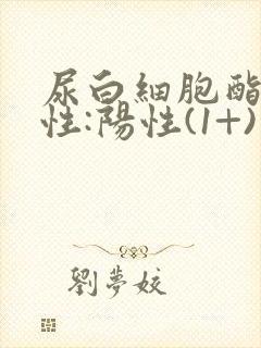 尿白细胞酯酶阳性:阳性(1+)