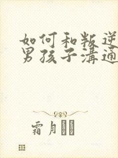 如何和叛逆期的男孩子沟通