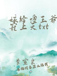 嫁给傻王爷后被宠上天txt
