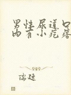 男性尿道口翻开内有小疙瘩不疼不痒