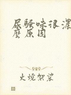 尿骚味很浓是什么原因