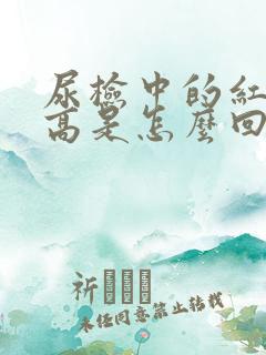 尿检中的红细胞高是怎么回事