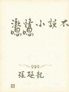 激情小说不要哦嗯嗯