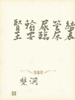 肾输尿管结石的主要临床表现是