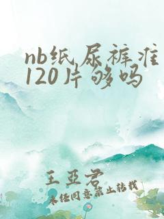 nb纸尿裤准备120片够吗