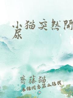 小猫突然开始乱尿