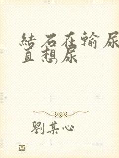 结石在输尿管一直想尿