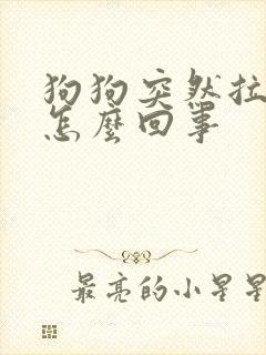 狗狗突然拉拉尿怎么回事