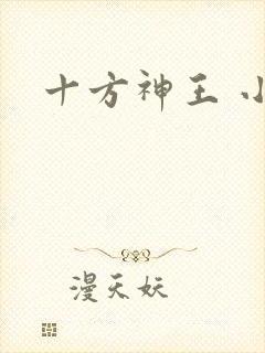 十方神王 小说