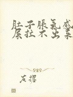 肚子胀气感觉有屎拉不出来