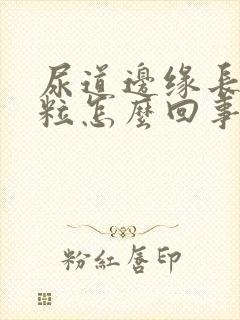 尿道边缘长小肉粒怎么回事