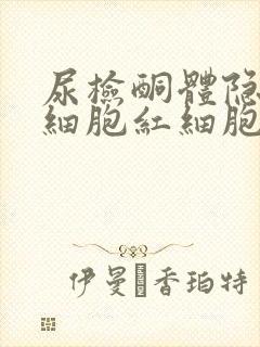 尿检酮体隐血白细胞红细胞高