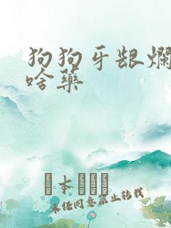 狗狗牙龈烂了吃啥药