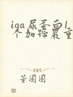 iga尿蛋白1个加号严重吗