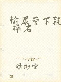 输尿管下段结石 碎石