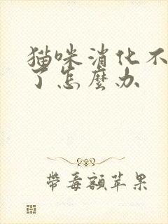 猫咪消化不良吐了怎么办