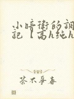 小暗卫的调教日记【高h纯h】