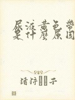 尿液黄色带泡沫是什么原因