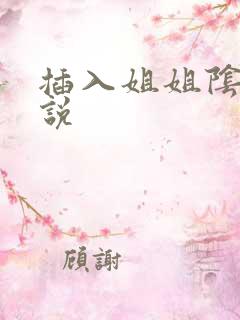 插入姐姐阴道小说