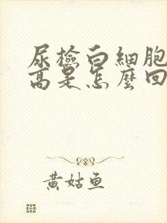 尿检白细胞酯酶高是怎么回事